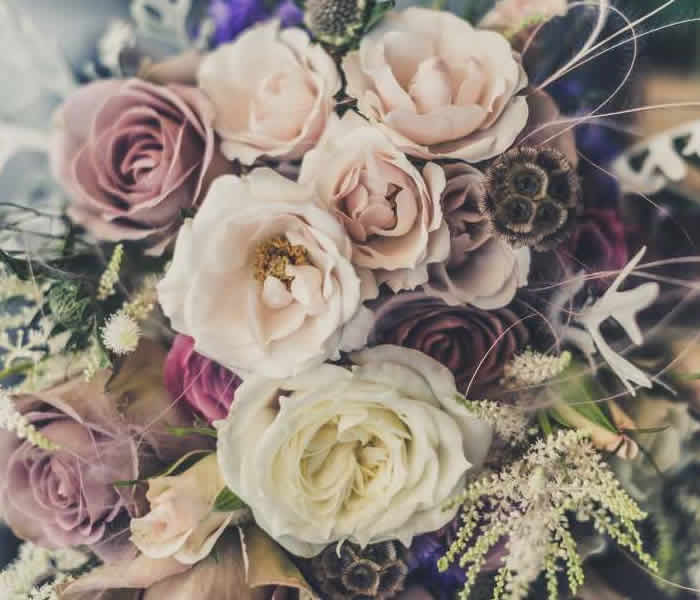 rose